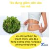 Bột Rau Má Nguyên Chất