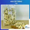 Hoa Cúc Trắng