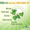 Trà Diếp Cá  Túi Lọc