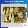 Combo Ngưu Báng + Nấm Đông Cô