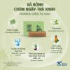 Xà bông sinh dược chùm ngây – trà xanh giảm mụn lưng chiết xuất 100% từ thiên nhiên, an toàn – Thảo Dược Hạnh Nguyên