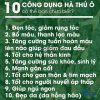 Hà thủ ô chế đỗ đen xanh lòng (Hà thủ ô rừng, cải thiện bạc tóc, giúp tóc bóng mượt) – Thảo Dược Hạnh Nguyên