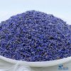 Nụ hoa oải hương khô (Lavender, làm trà hoa, tinh dầu, túi thơm khử mùi) – Thảo Dược Hạnh Nguyên)