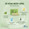 Xà bông sinh dược mướp đắng giảm mụn lưng chiết xuất từ thiên nhiên, an toàn không hóa chất 100g – Thảo Dược Hạnh Nguyên