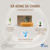 Xà bông sinh dược sả chanh, giảm mụn lưng, chiết xuất thiên nhiên, không hóa chất 100g – Thảo Dược Hạnh Nguyên