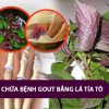 Trà Tía Tô (Hỗ trợ cho người bị gout, men gan cao, giảm đau nhức xương khớp) – Thảo Dược Hạnh Nguyên