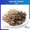 Nấm lộc nhung ( Nấm quý cao cấp, nấu canh bồi bổ sức khỏe ) – Thảo Dược Hạnh Nguyên