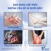 Phòng kỷ khô hỗ trợ phong hàn, đau nhức xương khớp, lợi tiểu – Thảo Dược Hạnh Nguyên