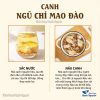 Canh ngũ chi mao đào, set canh bổ dưỡng 180g cho 4-5 người, giảm căng thẳng mệt mỏi – Thảo Dược Hạnh Nguyên