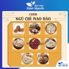 Canh ngũ chi mao đào, set canh bổ dưỡng 180g cho 4-5 người, giảm căng thẳng mệt mỏi – Thảo Dược Hạnh Nguyên