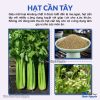 Hạt cần tây, Celery Seed gia vị nấu ăn, pha trà – Thảo Dược Hạnh Nguyên