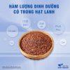 Hạt lanh nâu Canada, hạt lanh làm sữa hạt, ủ tóc, đắp mặt – Thảo Dược Hạnh Nguyên