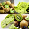 Kiwi sấy giòn nguyên vị không đường, pha trà, detox- Thảo Dược Hạnh Nguyên