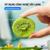 Kiwi sấy giòn nguyên vị không đường, pha trà, detox- Thảo Dược Hạnh Nguyên