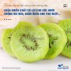 Kiwi sấy giòn nguyên vị không đường, pha trà, detox- Thảo Dược Hạnh Nguyên