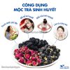 Mộc trà sinh khí bổ huyết và 50 loại trà dưỡng nhan tự chọn – Thảo Dược Hạnh Nguyên