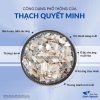 Thạch quyết minh, cửu khổng, chữa chóng mặt, hoa mắt, đau mắt, quáng gà – Thảo Dược Hạnh Nguyên