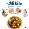 Trà mộc quế hoa mix set (Quế hoa, kỳ tử, hoa nhài, hắc kỳ tử, táo đỏ, hoa hồng) – Thảo Dược Hạnh Nguyên