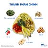 Trà nụ hoa tam thất mix set (Nụ hoa tam thất, cam thảo, kỳ tử, táo đỏ, hoa nhài) – Thảo Dược Hạnh Nguyên