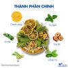 Trà thơm miệng mix set (Chanh, sả, lá nếp, cỏ ngọt, bạc hà, táo đỏ) – Thảo Dược Hạnh Nguyên