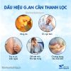 Thang dưỡng gan khỏe mạnh (nhân trần, diệp hạ châu, sài hồ, hạ khô thảo, chi tử) -Thảo Dược Hạnh Nguyên