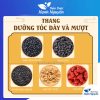 Thang dưỡng tóc dày và mượt (đậu đen, dâu tằm, vừng đen, óc chó, táo đỏ) – Thảo Dược Hạnh Nguyên