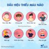 Thang ngăn ngừa thiếu máu não, ngừa đột quỵ, tai biến hiệu quả (Bán hạ, bạch truật, nhân sâm,…) – Thảo Dược Hạnh Nguyên