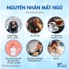 Thang an thần, ngủ ngon, giảm mất ngủ hiệu quả (Long nhãn, nhân sâm, táo nhân,…) – Thảo Dược Hạnh Nguyên