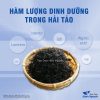 Hải tảo, hỗ trợ người bị tuyến giáp, bướu cổ – Thảo Dược Hạnh Nguyên