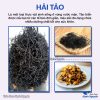 Hải tảo, hỗ trợ người bị tuyến giáp, bướu cổ – Thảo Dược Hạnh Nguyên