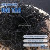 Hải tảo, hỗ trợ người bị tuyến giáp, bướu cổ – Thảo Dược Hạnh Nguyên